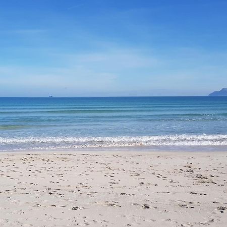 Sa Vinya Vella Konuk evi Alcudia  Dış mekan fotoğraf