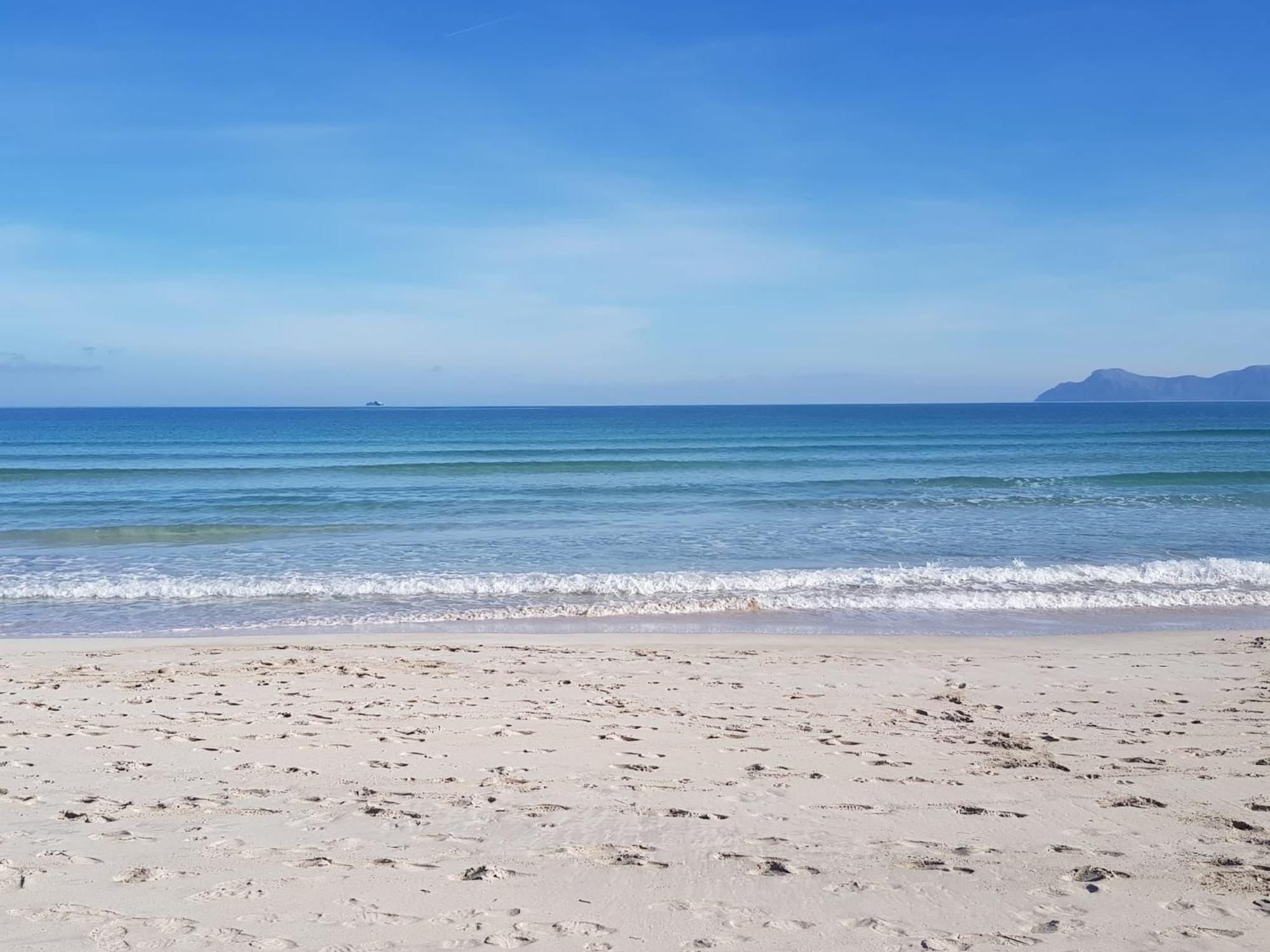 Sa Vinya Vella Konuk evi Alcudia  Dış mekan fotoğraf